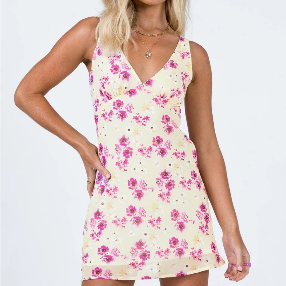Princess Polly Nellie dress